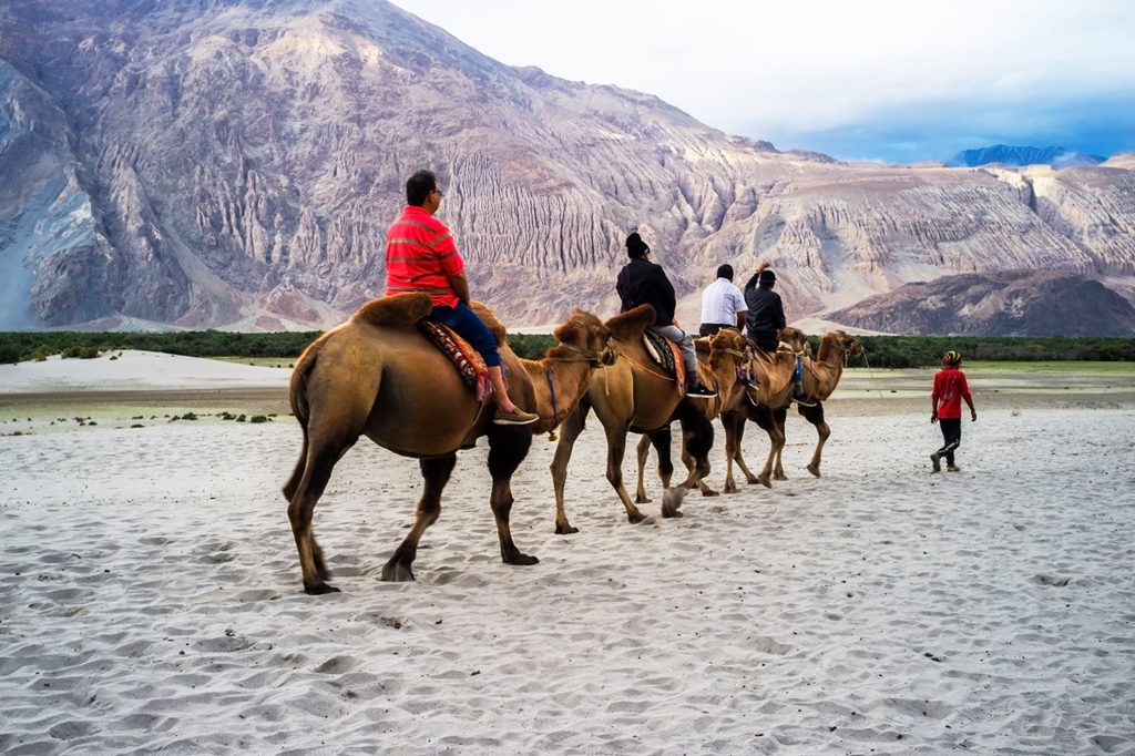 Nubra Valley - Leh Ladakh