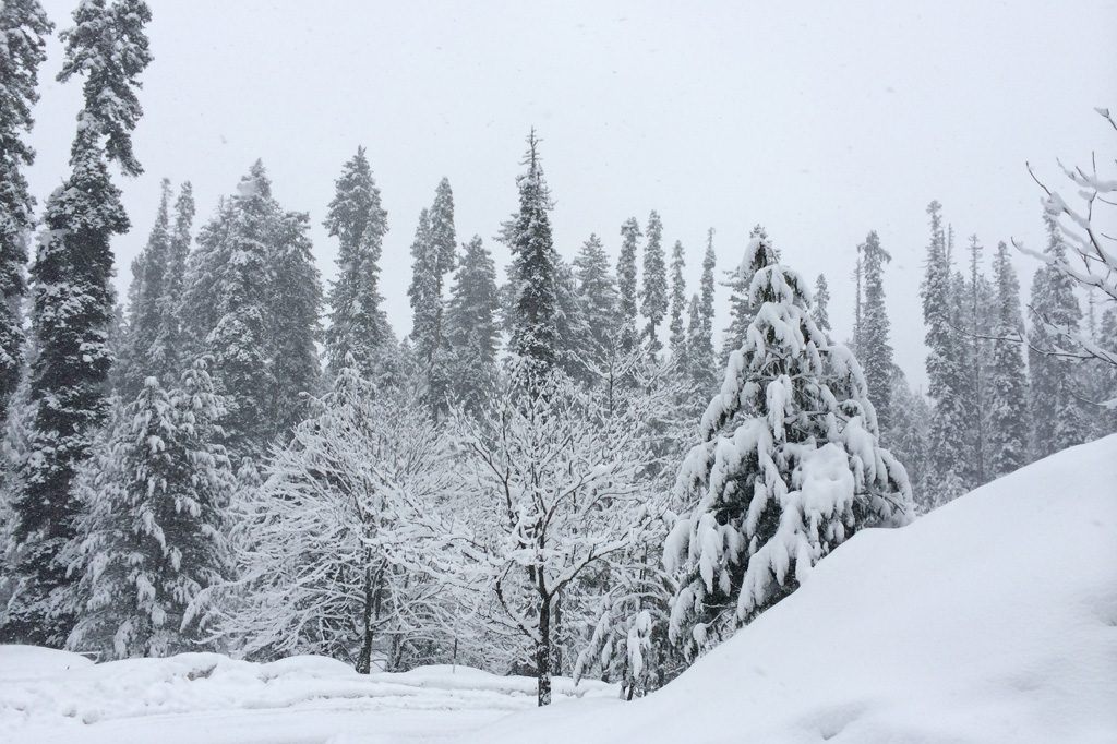 Gulmarg
