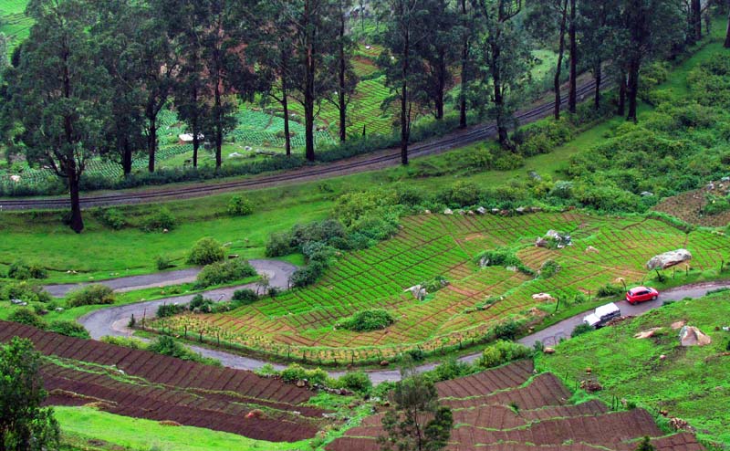 REASONS WHY YOU SHOULD VISIT KERELA