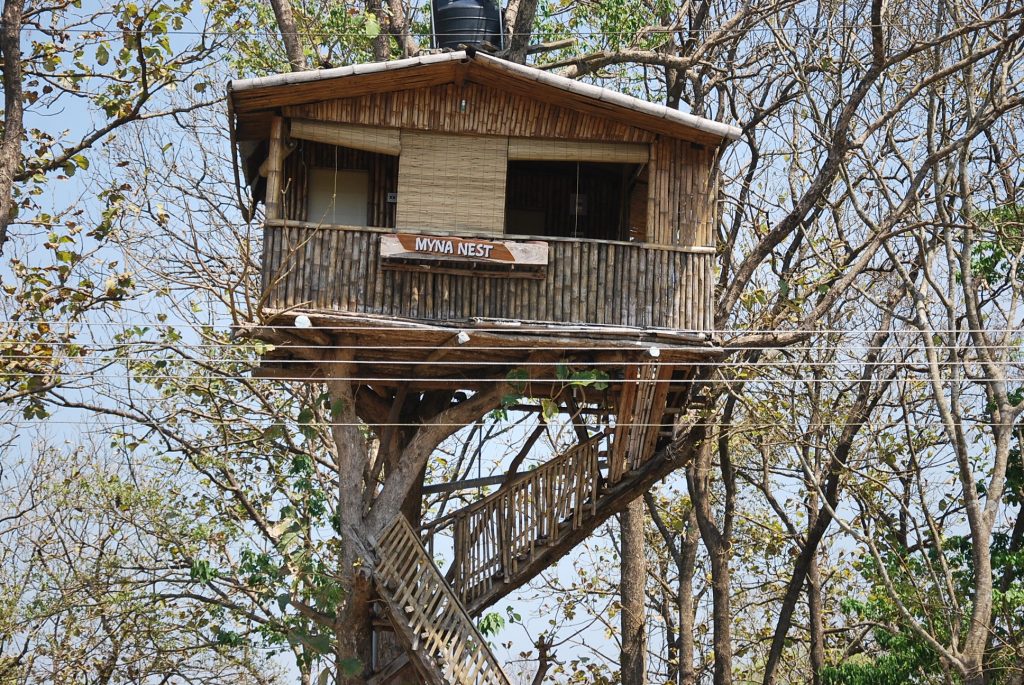 Tree house