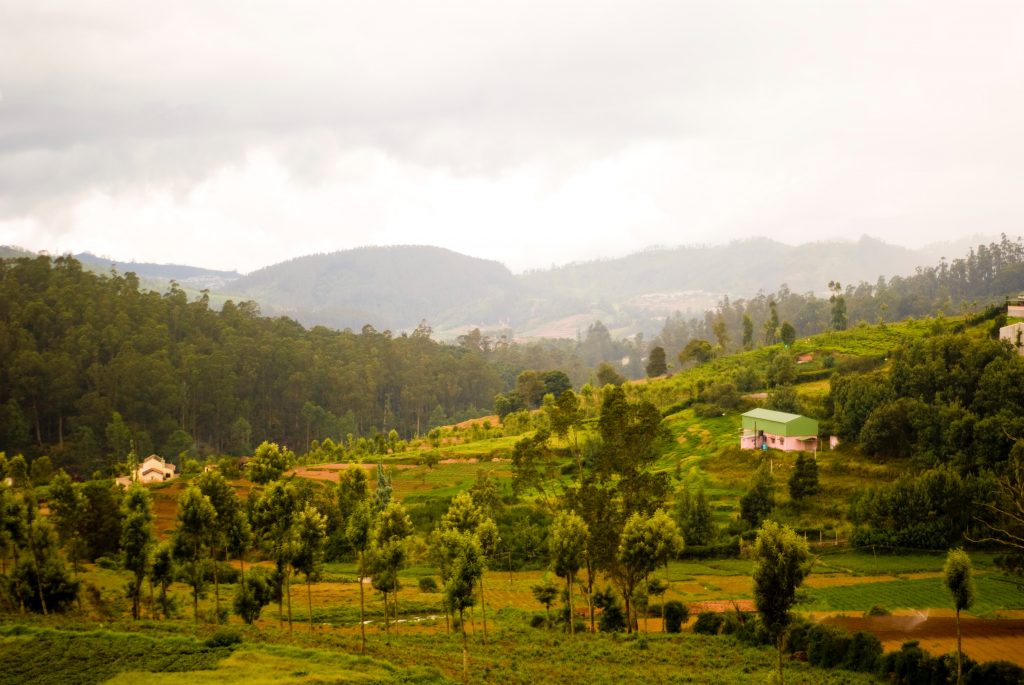 Wayanad