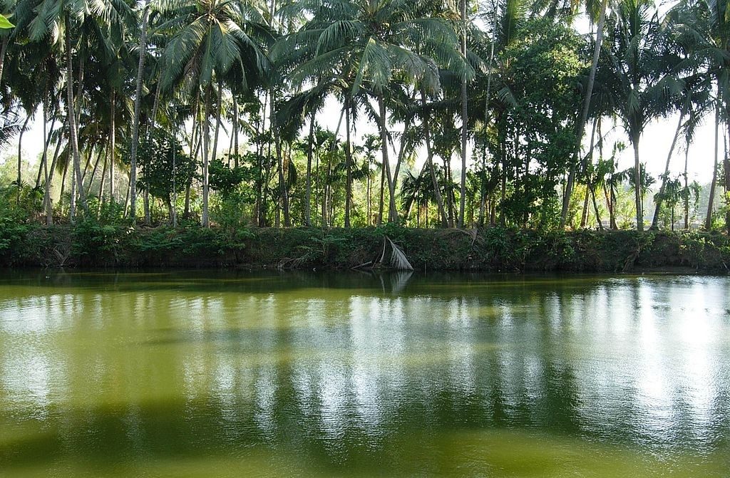 kerala-Villages