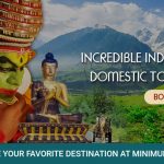 Domestic Tours