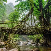 Meghalaya & Assam